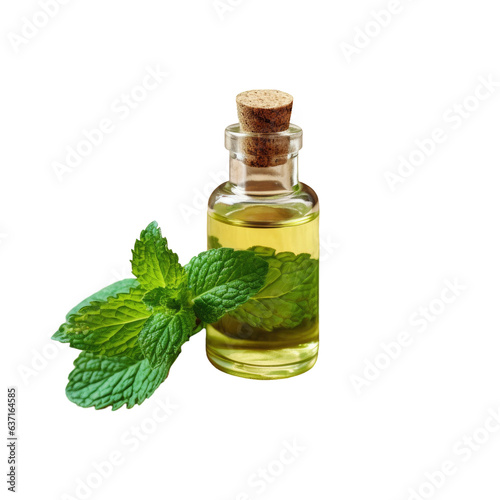 Green leaves and mint oil on a transparent background
