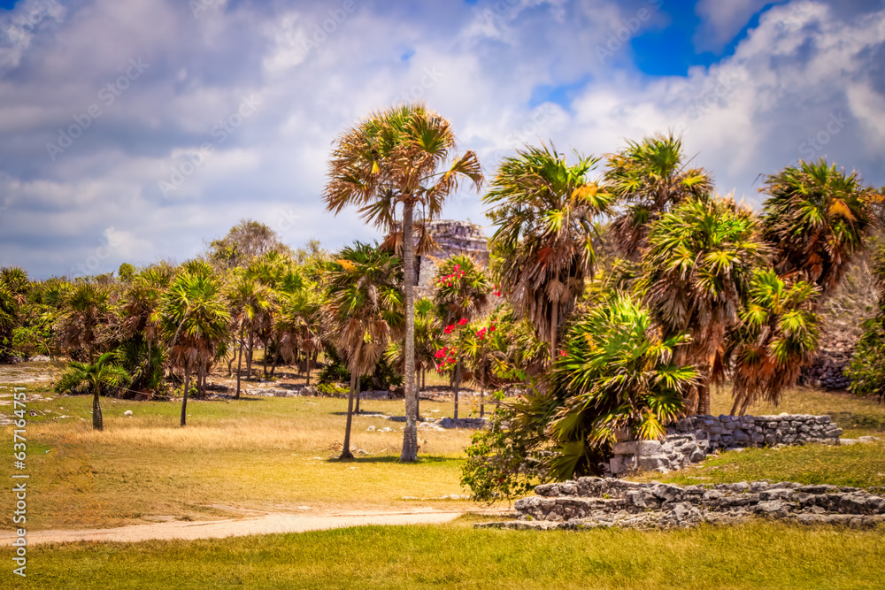 Beautiful and historic view of Cozumel Maya Beautiful and historic view of Cozumel Maya