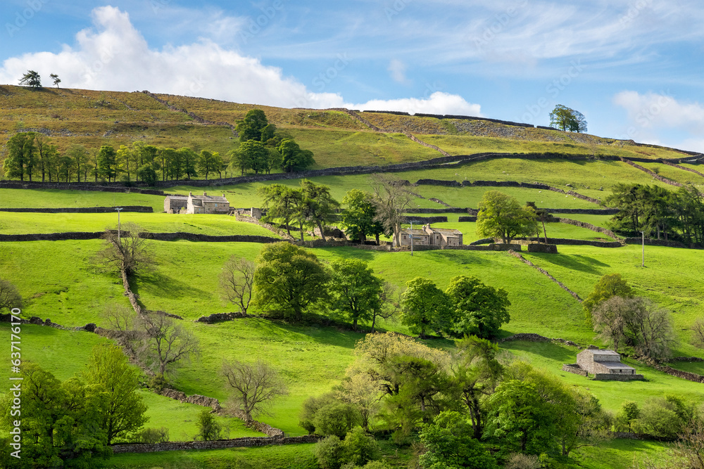 Dry stone walls and stone cottages on a bright spring day with beautiful greens, Swaledale, North Yorkshire, UK