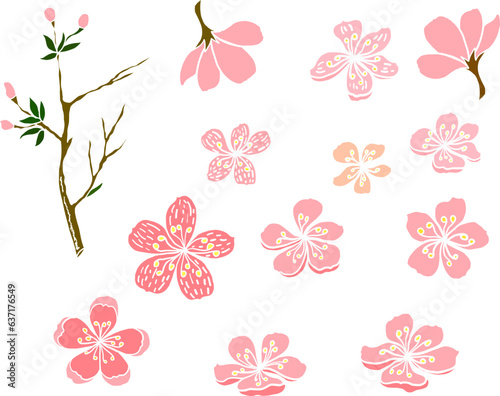 Free hand Sakura flower vector set, Beautiful line art Peach blossom isolate on white background.Cherry blossom illustration set.Element for weding card or printing on backdrop. 