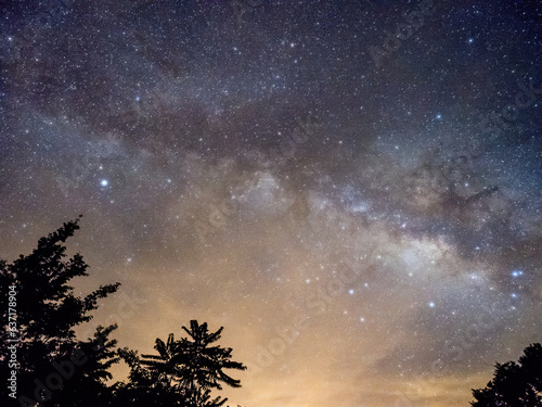 Blue dark night sky with many stars above field of trees.