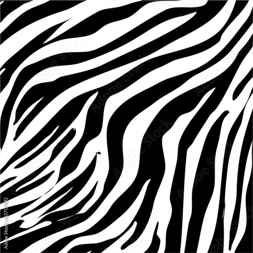 texture  print  design  seamless  pattern  background  abstract  animal  zebra  textile  striped  fabric  illustration  wild  skin  fashion  wallpaper  art  wildlife  black  africa  white  jungle  vec