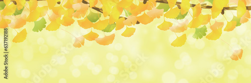 紅葉　イチョウ　葉　背景