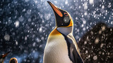 A king penguin gazes skyward as snow falls gently. In the background, other members of the penguin colony also enjoy the rare South Georgia summer snow. Generative Ai