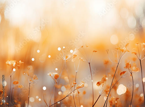 autumn flower scene with bokeh background 