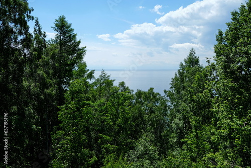 Different trees on the hills along the shore of Lake Baikal.