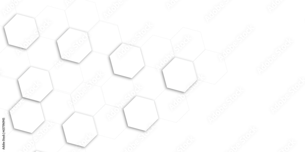Abstract white and gray hexagon technology lines background. Abstract white and grey color hexagonal geometric background with copy space. Abstract white lines background.