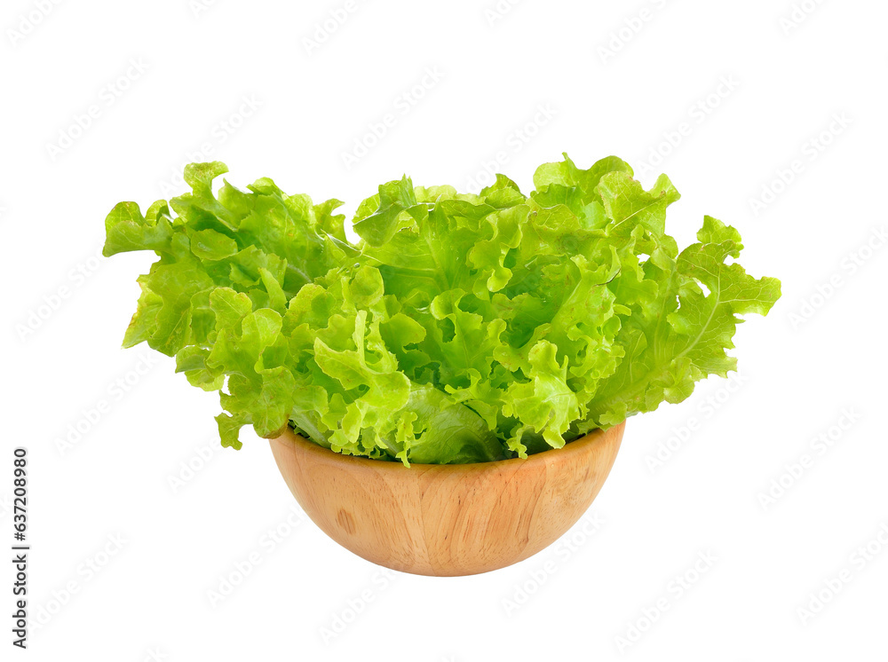 Fresh  lettuce isolated on  transparent png