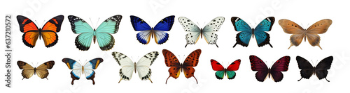 Collection of colorful, beautiful and rare butterflies.