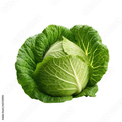 Green cabbage on transparent background