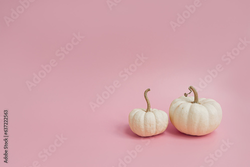 Decorative pumpkins. Aesthetic autumn, fall, thanksgiving, halloween creative concept with copy space