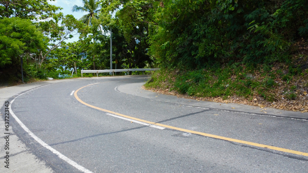Fototapeta premium The paved road with markings turns sharply to the right. Dense bushes and trees on the sides of the road.