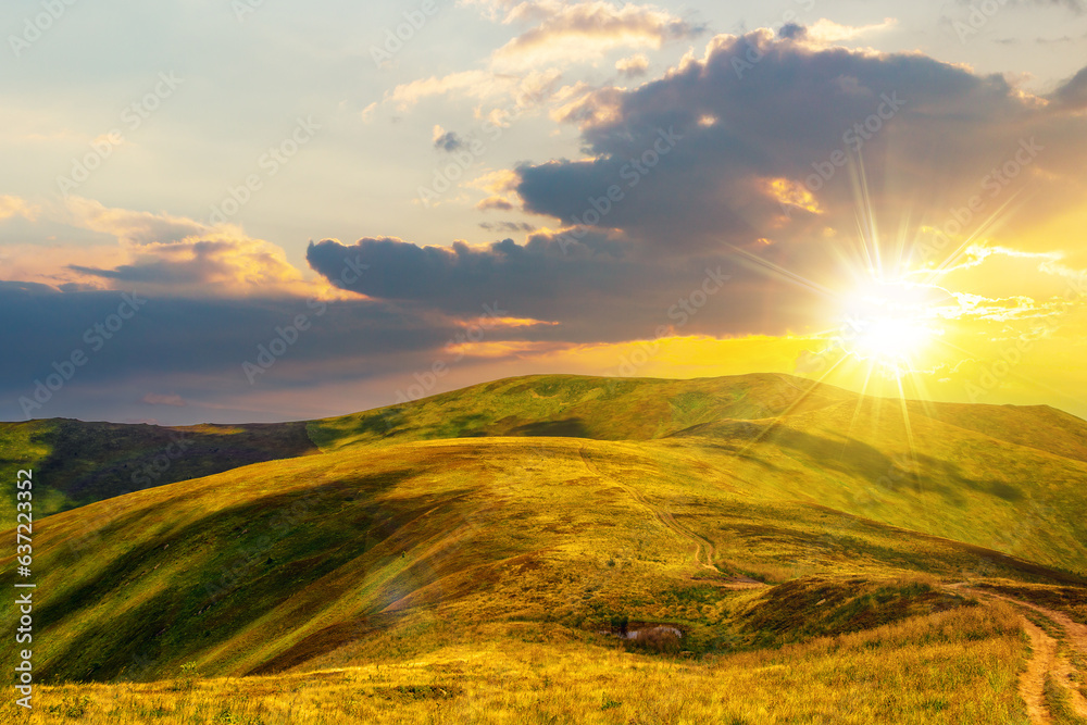 Fototapeta premium mountainous landscape at sunset. path through hill side to the mountain top. beautiful countryside scenery of ukrainian carpathians in evening light