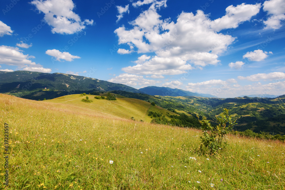 mountain landscape with grassy hills meadow and forested slopes rolling in to the distant rural valley and ridge beneath a blue sky with clouds on a sunny day
