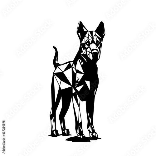 black and white dog