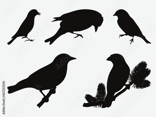 Captivating Collection of Majestic Goldfinch Silhouettes  A Set of Elegantly Crafted Avian Artistry
