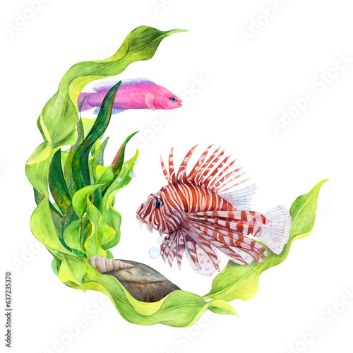 Watercolor drawing circle frame from curved ribbon algae, bottom stone,cone shell, lionfish and fridman fish isolated on white background. Underwater illustration for stickers, logo, photoframe photo