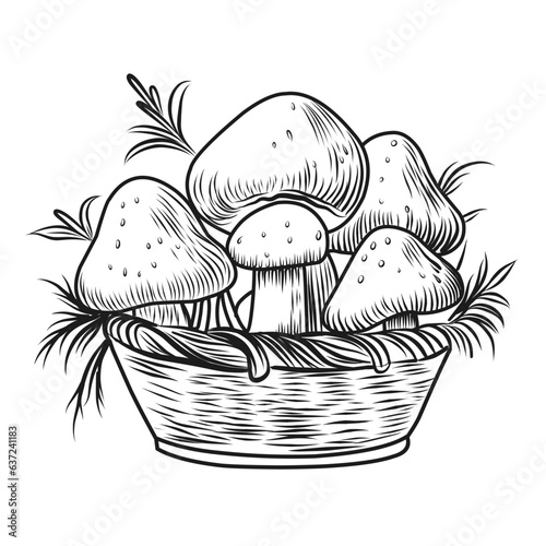 Mushrooms coloring page. Autumn composition linear illustration.Autumn coloring book for children.