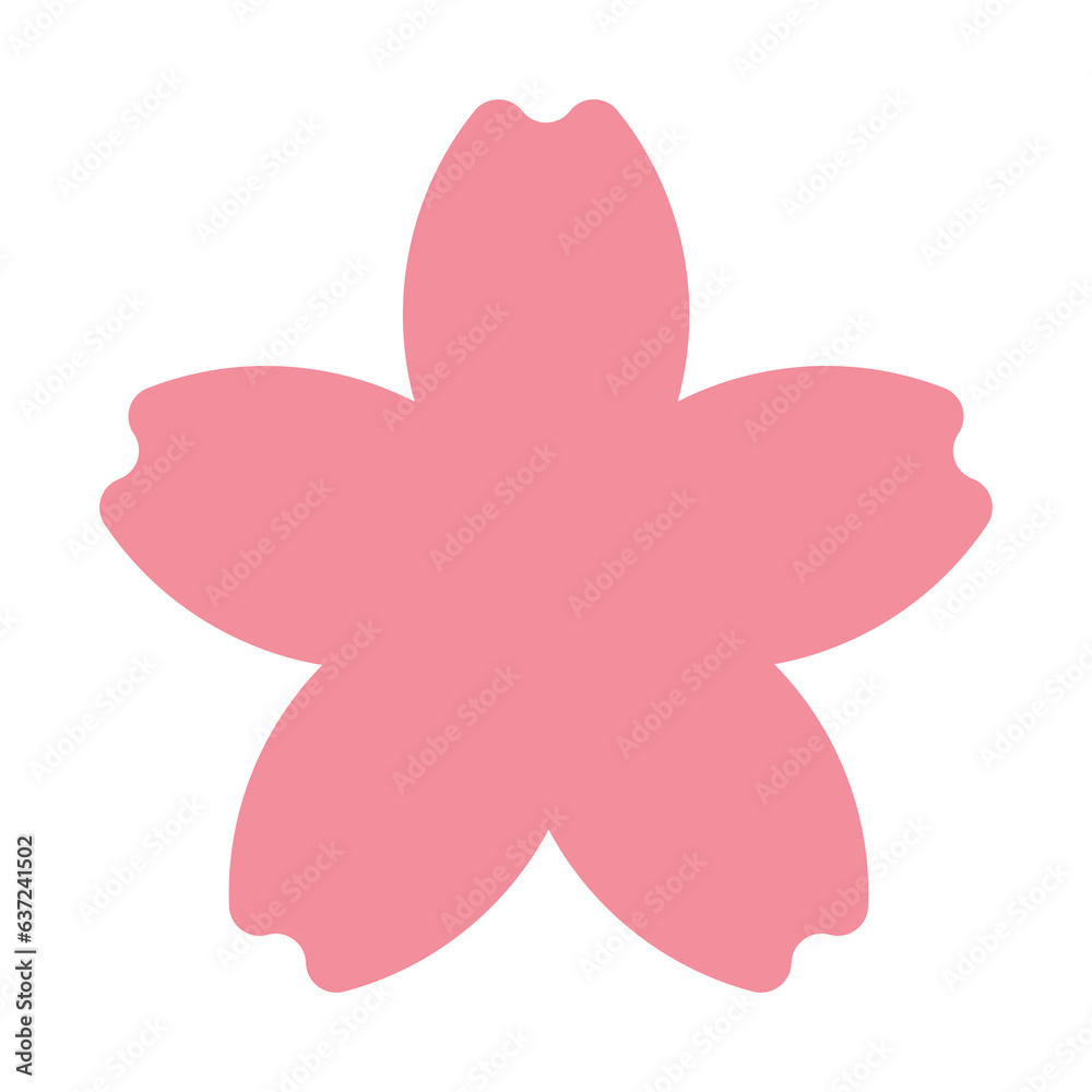 pink sakura flower