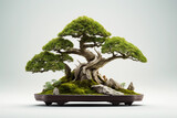 bonsai tree on a white background, in the style of revived historic art forms