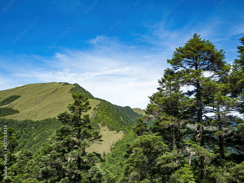 Hehuan Mountain landscape in Taiwan.