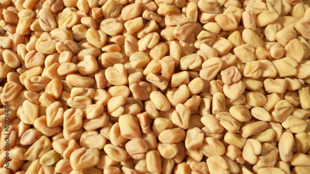 Fenugreek seeds are small, golden-brown seeds with a strong aroma and a slightly bitter taste. They are commonly used as a spice in various cuisines and known for their potential health benefits.
Fenugreek seeds are small, golden-brown seeds with a strong aroma and a slightly bitter taste. They are commonly used as a spice in various cuisines and known for their potential health benefits.