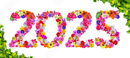 The shape of the number 2025 is made of various kinds of flowers petals isolated on transparent background. Year 2025, new year, suitable for design materials