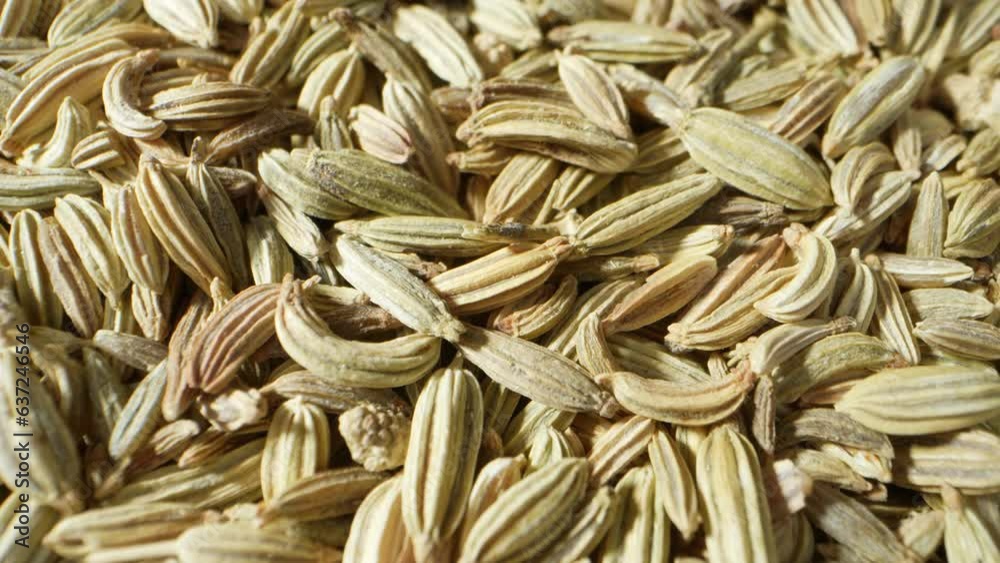 Fennel seeds are small, aromatic seeds from the fennel plant. They possess a sweet and slightly licorice-like flavor. Commonly used in cooking, they add depth to dishes and aid digestion.
Fennel seeds are small, aromatic seeds from the fennel plant. They possess a sweet and slightly licorice-like flavor. Commonly used in cooking, they add depth to dishes and aid digestion.