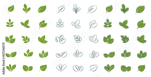 Set of simple green leaves for eco design. Flat and line style