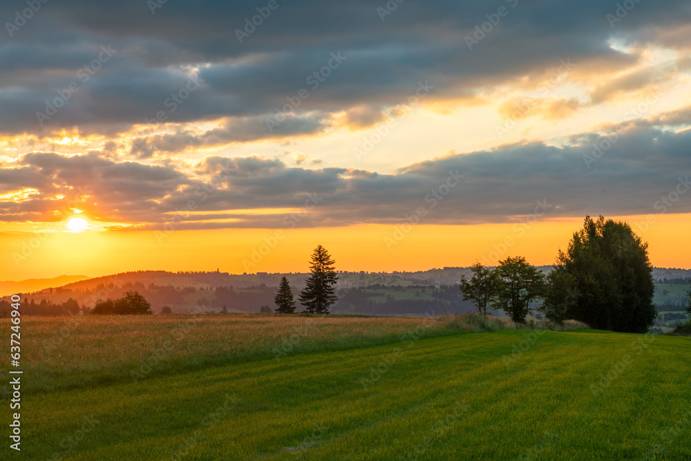 Sunrise over a freshly-mown mountain meadow