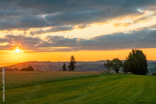 Obraz na płótnie Sunrise over a freshly-mown mountain meadow w salonie