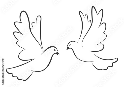 Flying pigeons. Dove bird. Vector stock illustration.