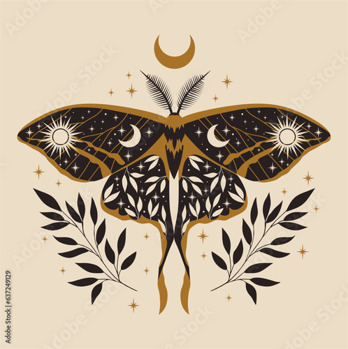 Celestial moth boho art illustration. Beautiful moth illustration. Vector celestial.