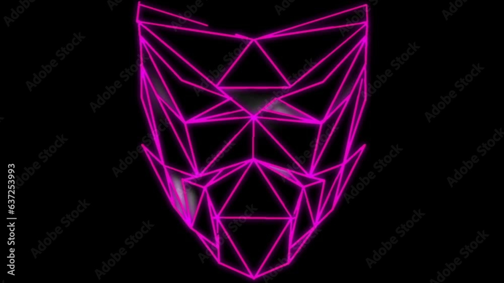 Polygonal pink lines animation on face poly mask vj loop event visuals Polygonal pink lines animation on face poly mask vj loop event visuals