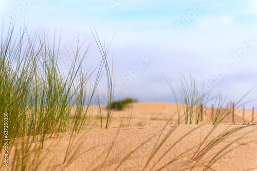 Guincho beach  Portugal  summer  dunes