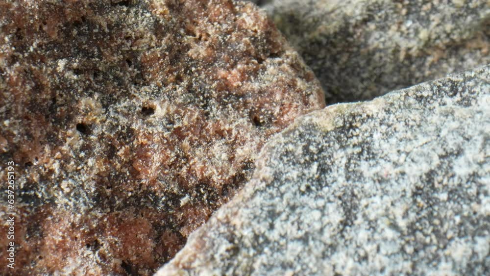 Explore the intricate world of Himalayan fine black salt through a macro video. Witness its unique texture and colors up close, unveiling the natural beauty locked within each granule.
Explore the intricate world of Himalayan fine black salt through a macro video. Witness its unique texture and colors up close, unveiling the natural beauty locked within each granule.