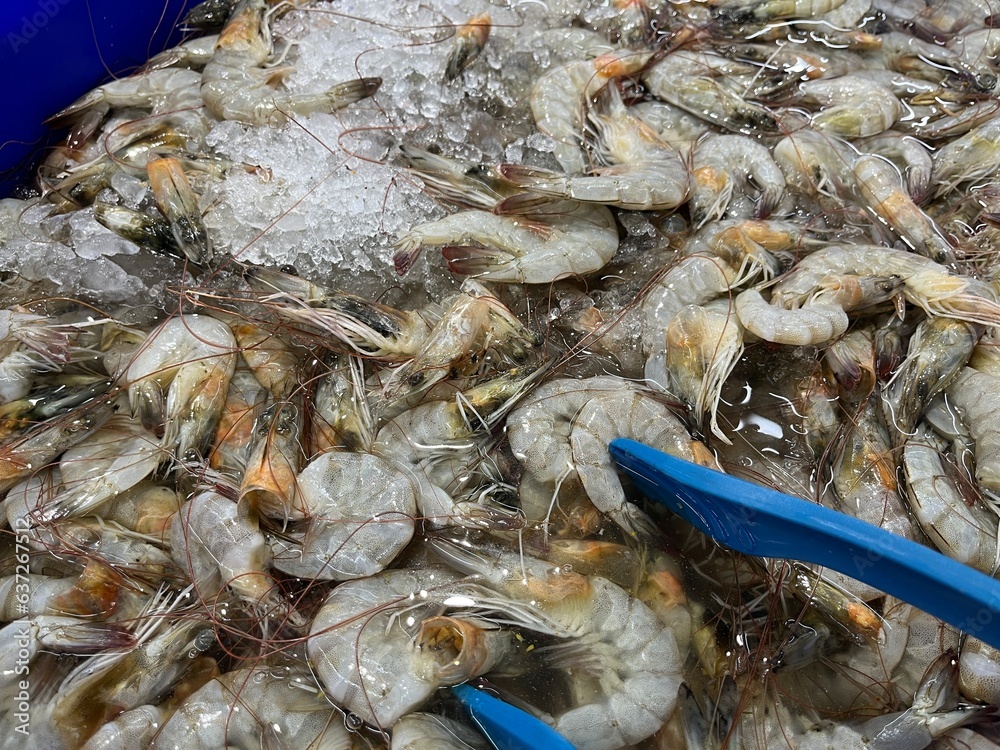 Fresh and raw shrimp for cooking ingredient stored with crushed ice in a supermarket for sale Fresh and raw shrimp for cooking ingredient stored with crushed ice in a supermarket for sale
