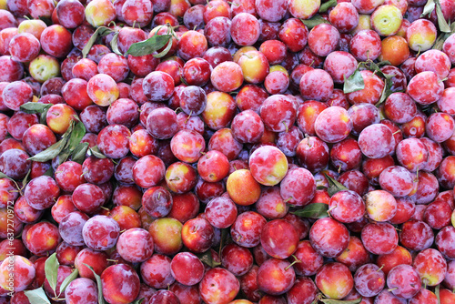 healthy food natural background of fresh ripe plums