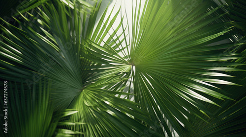 Close up of a palm tree leaf.Generative Ai
