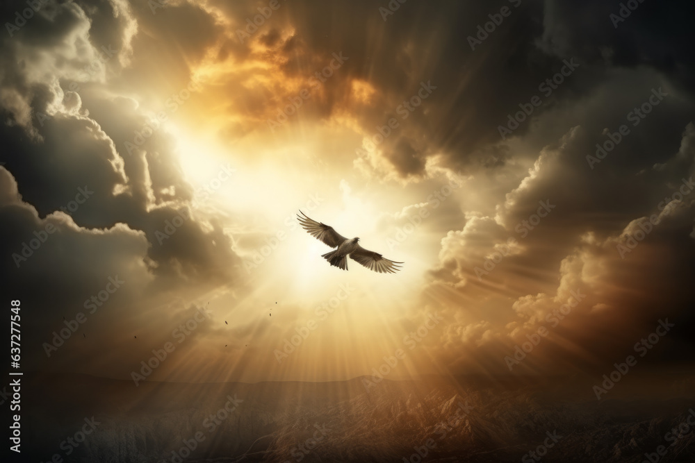Stormy landscape with light rays crossing the clouds and the horizon, and a bird flying at a high altitude