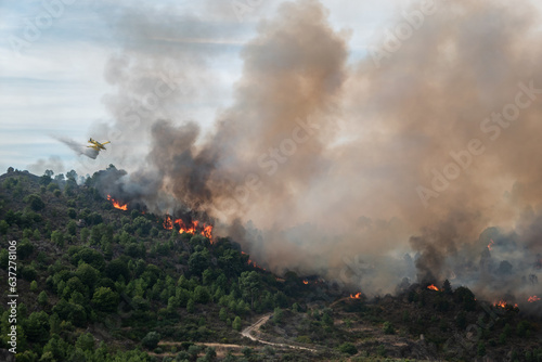 Avião no combate ao incêndio florestal descarregando água sobre as labaredas que deixam muito fumo no ar