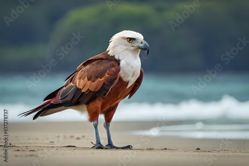 red tailed hawk Generated AI