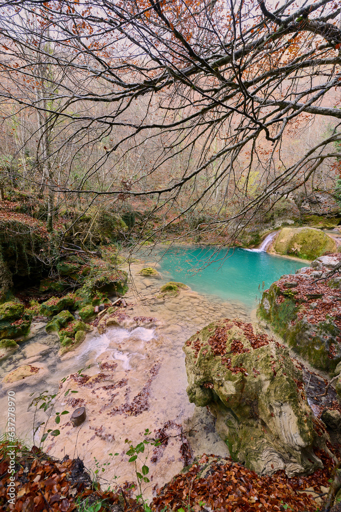 Pond with turquoise water in the source of the Uderra River natural Park Urbasa-Andia Pond with turquoise water in the source of the Uderra River natural Park Urbasa-Andia