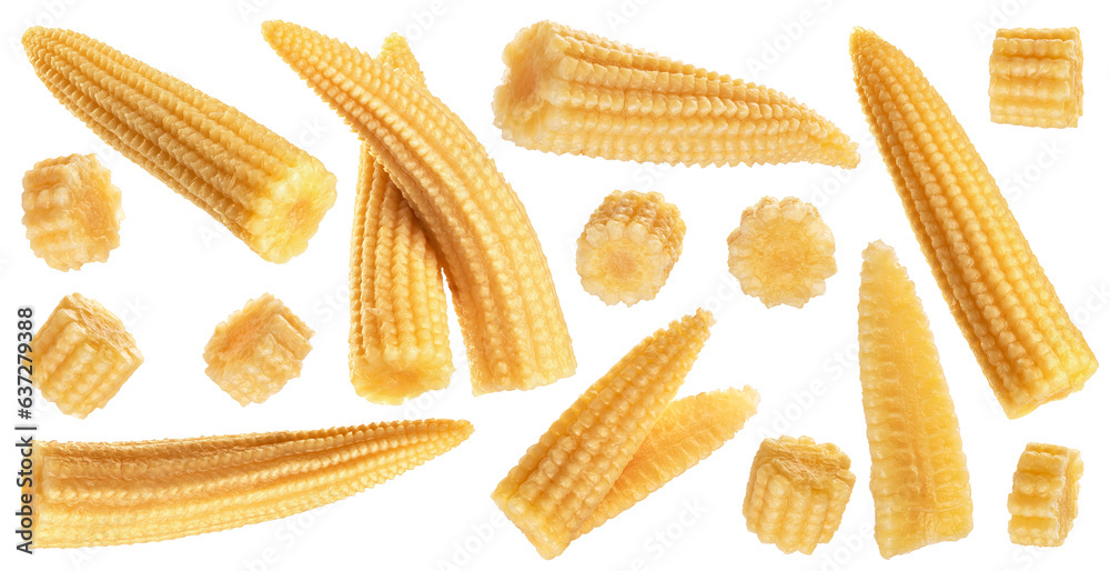 Fototapeta premium Pickled mini corn isolated on white background. Collection with clipping path.