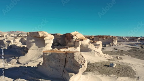 Tulipanes y paisajes en Catamarca, Argentina 