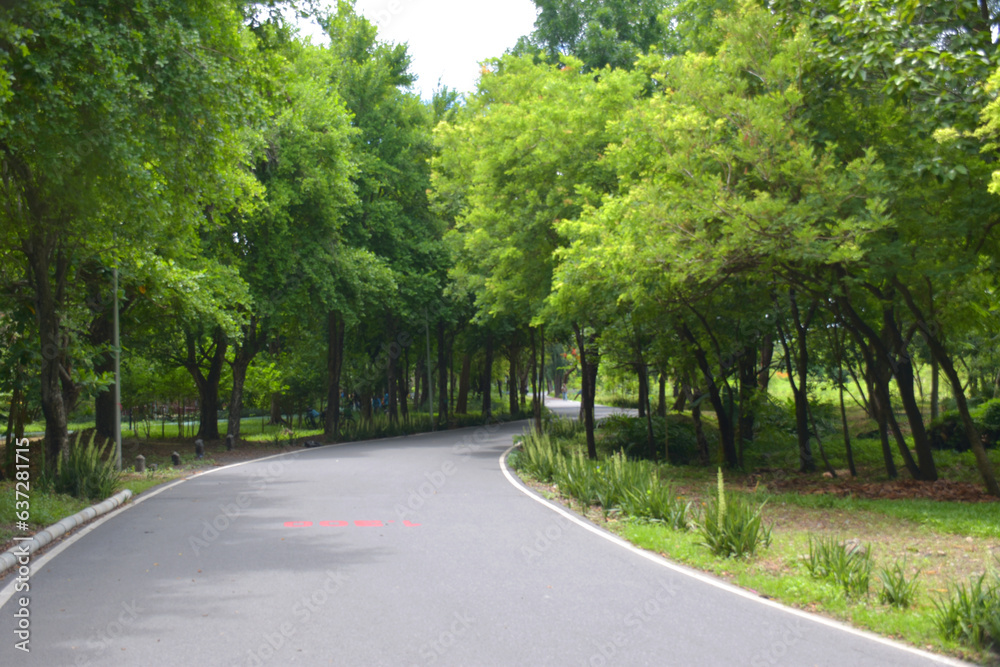 Beautiful trees and garden paths, Bangkok, Thailand Beautiful trees and garden paths, Bangkok, Thailand