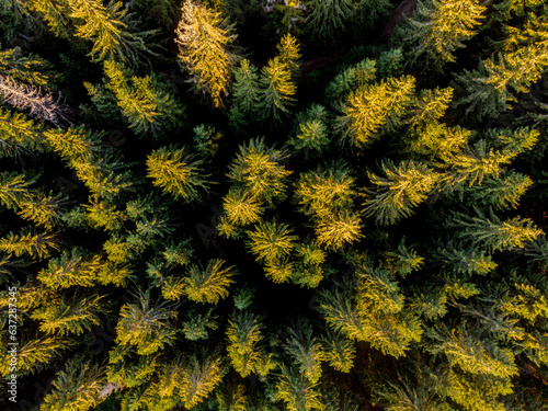 Morning in Carpathians from air
