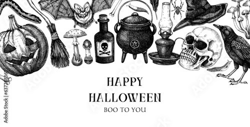 Vintage Halloween background. Hand drawn vector illustration. Skulls, bones, pumpkin, poison, snakes, mushroom sketches. Autumn holiday banner. Vintage Halloween design elements