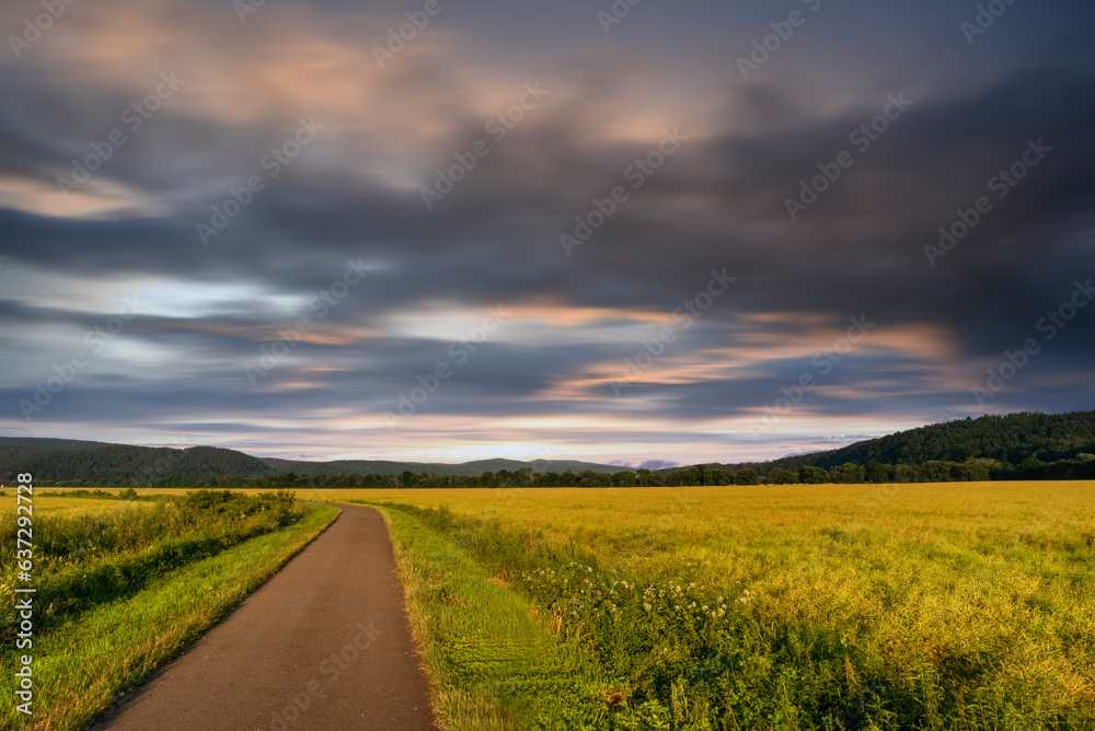 Fototapeta premium road in the field