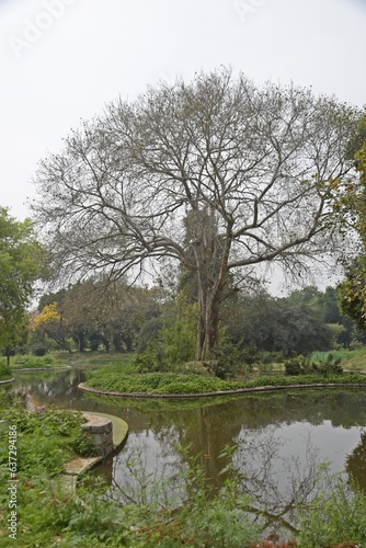 Beautiful lake in Sundar nursery   Delhi